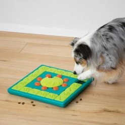 Nina Ottosson Hondenspel Multi Puzzle -winkel voor hondenvoer 0201116 met hond 2