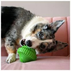 Kong Squeezz Orbitz Spin Top Assorti M/L -winkel voor hondenvoer 0201904 3