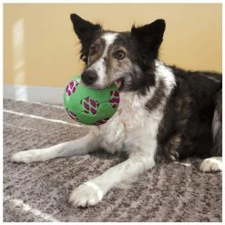 Kong Sneakerz Sport Soccer Ball M -winkel voor hondenvoer 0201905 2