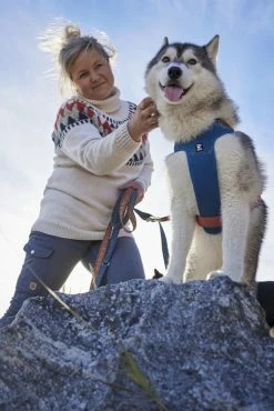 Hurtta Harnas Weekend Warrior Warming Eco Bilberry Mix -winkel voor hondenvoer 0228580 met hond 2