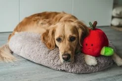 Beeztees Hondenspeelgoed Hide And Seek Appel -winkel voor hondenvoer 0619440 sfeer1