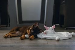 Beeztees Puppy Knuffeldoek Unicorn M -winkel voor hondenvoer 0619491 sfeer1