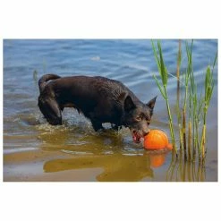 Beeztees Apportino Bal -winkel voor hondenvoer 0625880 3