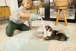 Beeztees Puppy Flostouw Pullina Groen -winkel voor hondenvoer 0641270 sfeer2