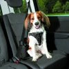 TRIXIE Autotuig Dog Comfort -winkel voor hondenvoer 12855 H