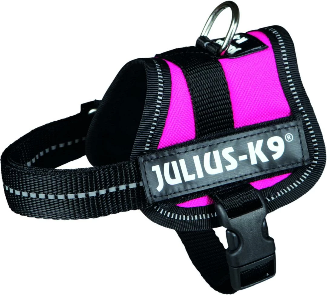 Julius K9 Powerharness Fuchsia 3 Julius K9 Powerharness Fuchsia