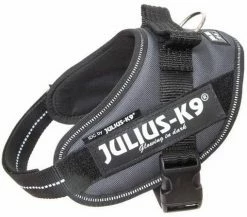 Julius K9 IDC Powerharness Antraciet -winkel voor hondenvoer 16IDC ANT M