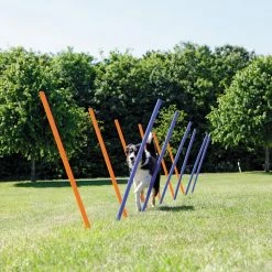 TRIXIE Dog Activity Agility Slalom -winkel voor hondenvoer 3206 H