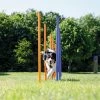 TRIXIE Dog Activity Agility Slalom -winkel voor hondenvoer 3206 H 3