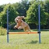 TRIXIE Dog Activity Agility Horde -winkel voor hondenvoer 3207 1
