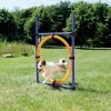 TRIXIE Dog Activity Agility Ring 1 TRIXIE Dog Activity Agility Ring -winkel voor hondenvoer 3208 H 2