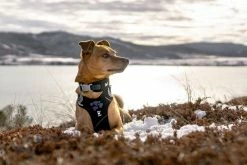 Hurtta Harnas Weekend Warrior Black -winkel voor hondenvoer 6410329333941 0228550 1