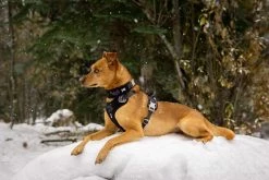 Hurtta Harnas Weekend Warrior Black -winkel voor hondenvoer 6410329333941 0228550 4