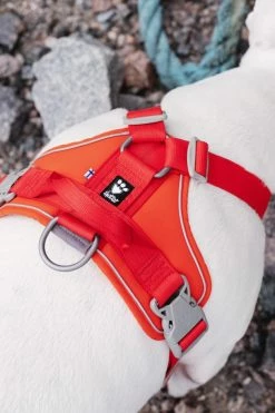 Hurtta Harnas Weekend Warrior Eco Rosehip -winkel voor hondenvoer 6410329334344 b