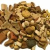 Jack Doggies Tutti Fruti Mix 2,5 Kg -winkel voor hondenvoer 8716604000347