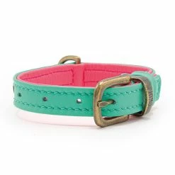 Dog With A Mission Halsband Bella XXXS -winkel voor hondenvoer DWAM Minidog SS21 Flowerbomb Bella 3