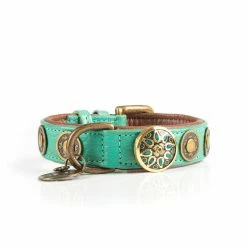 Dog With A Mission Halsband Rebel -winkel voor hondenvoer DWAM NOOS URBAN REBEL M1 2021