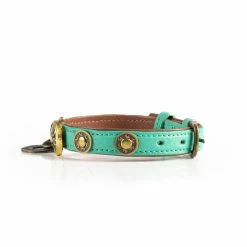 Dog With A Mission Halsband Rebel -winkel voor hondenvoer DWAM NOOS URBAN REBEL S2 2021