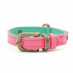 Dog With A Mission Halsband Molly XXXS -winkel voor hondenvoer DWAM SS21 Minidog Molly 3