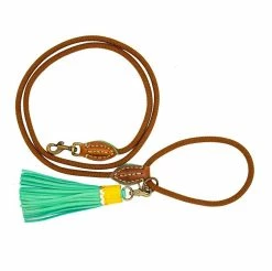 Dog With A Mission Hondenlijn Rover