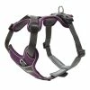Hunter Hondentuig Divo Paars/Grijs -winkel voor hondenvoer HUNTER 16434 67579 004 19 original