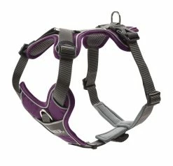 Hunter Hondentuig Divo Paars/Grijs