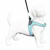 Tre Ponti Hondentuig Liberta Reflective Blauw -winkel voor hondenvoer Liberta blauw reflectivekopie1