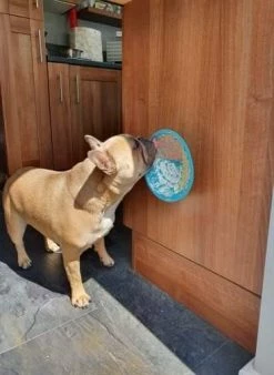 Lickimat Splash Turquoise 19 Cm -winkel voor hondenvoer Lickimat 3