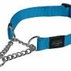 Rogz Beltz Utility Sliphalsband Turquoise -winkel voor hondenvoer RHC11FDET0