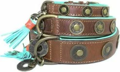 Dog With A Mission Halsband Urban