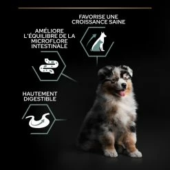 PRO PLAN Medium & Large Adult OptiDigest Puppy, Met Kalkoen -winkel voor hondenvoer lm 106f0935e4cd5920aa6c7c996a5ee53a70f1687267677