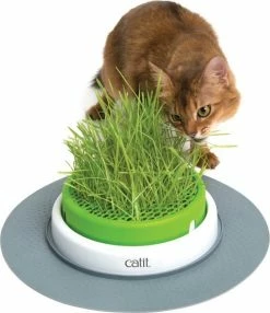 Cat-it Grass Planter Cat It Senses 2.0