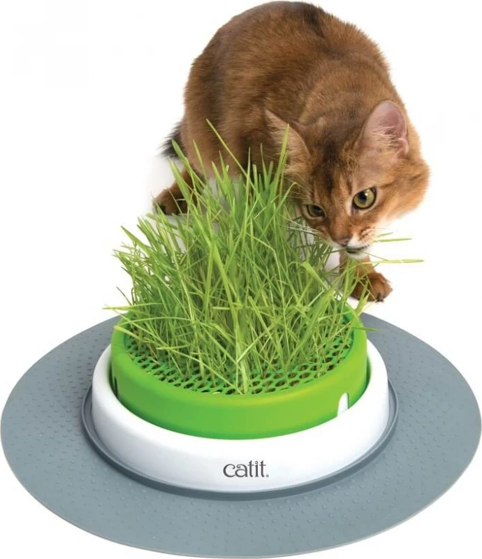 Cat-it Grass Planter Cat It Senses 2.0 3 Cat-it Grass Planter Cat It Senses 2.0