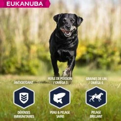 Eukanuba Breed Specific Labrador Retriever -winkel voor hondenvoer lm 1127f6ffaa6bb0b408017b62254211691b51641825891