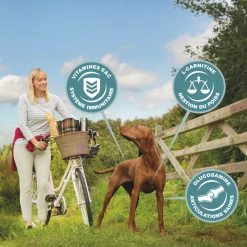 Eukanuba Active Adult Large Breed 10 Eukanuba Active Adult Large Breed -winkel voor hondenvoer lm 116512bd43d9caa6e02c990b0a82652dca1641822302