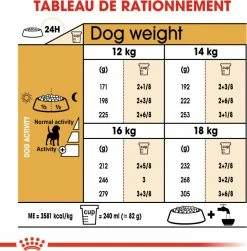 ROYAL CANIN Beagle Adult -winkel voor hondenvoer lm 122a0a080f42e6f13b3a2df133f073095dd1596447778