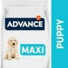 AFFINITY ADVANCE PUPPY MAXI Baby Protect, Met Kip -winkel voor hondenvoer lm 123202cb962ac59075b964b07152d234b701570716633