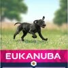 Eukanuba Growing Puppy Large Breed 1 Eukanuba Growing Puppy Large Breed -winkel voor hondenvoer lm 13402522a2b2726fb0a03bb19f2d8d9524d1641822568