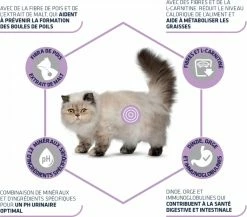 Affinity Advance Advance Sterilized Hairball - Met Kip -winkel voor hondenvoer lm 138013d407166ec4fa56eb1e1f8cbe183b91568989691