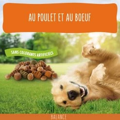 FRISKIES Vitafit Balance -winkel voor hondenvoer lm 1410f28b5d49b3020afeecd95b4009adf4c1666338745