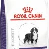 Royal Canin Veterinary Diet Royal Canin Neutered Junior Large Dog -winkel voor hondenvoer lm 1440a09c8844ba8f0936c20bd791130d6b61669811143