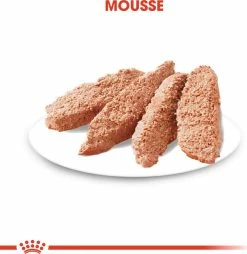 Royal Canin Coat Care Natvoer In Mousse -winkel voor hondenvoer lm 14aab3238922bcc25a6f606eb525ffdc561639064627