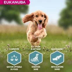 Eukanuba Dog Adult Small & Medium, Zalm & Gerst -winkel voor hondenvoer lm 1552a79ea27c279e471f4d180b08d62b00a1608306000