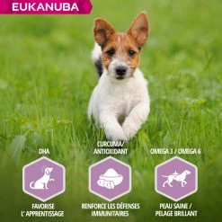 Eukanuba Puppy Small & Medium Breed Lamb & Rice -winkel voor hondenvoer lm 161bd4c9ab730f5513206b999ec0d90d1fb1608300096