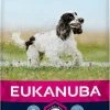 Eukanuba Mature & Senior Medium -winkel voor hondenvoer lm 1659766527f2b5d3e95d4a733fcfb77bd7e1578392086