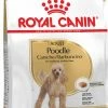 Royal Canin Breed Poedel Adult -winkel voor hondenvoer lm 17638af86134b65d0f10fe33d30dd76442e1583149456