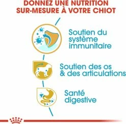 Royal Canin Breed Teckel Junior 12 Royal Canin Breed Teckel Junior -winkel voor hondenvoer lm 181fc221309746013ac554571fbd180e1c81598437219