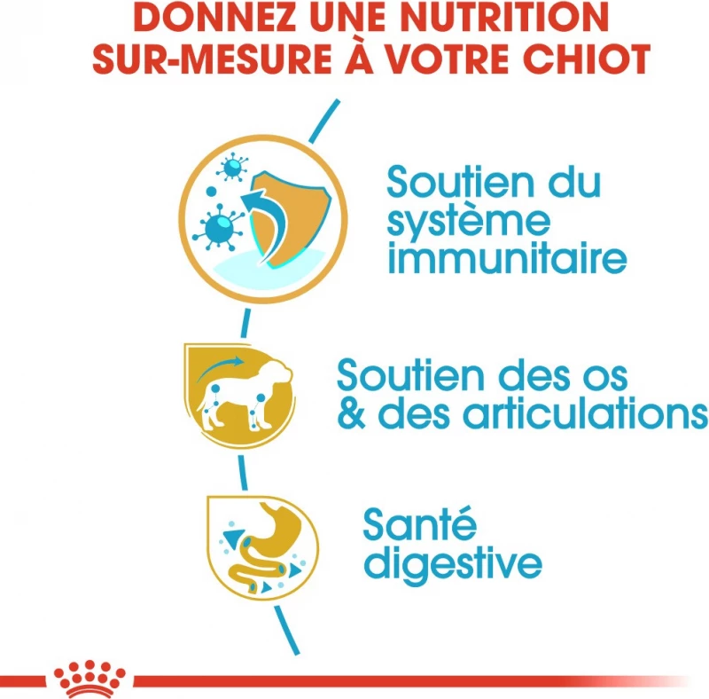 Royal Canin Breed Teckel Junior 7 Royal Canin Breed Teckel Junior - Afbeelding 5