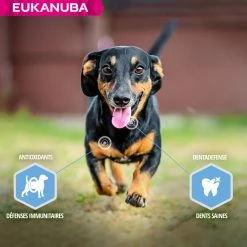 Eukanuba Daily Care Weight Control Small/Medium Adult -winkel voor hondenvoer lm 185eecca5b6365d9607ee5a9d336962c5341641824931