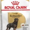 Royal Canin Breed Rottweiler Adult -winkel voor hondenvoer lm 189a2557a7b2e94197ff767970b670416971581346523